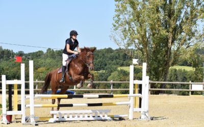 Poney à prendre en demi-pension : Bailey Conti