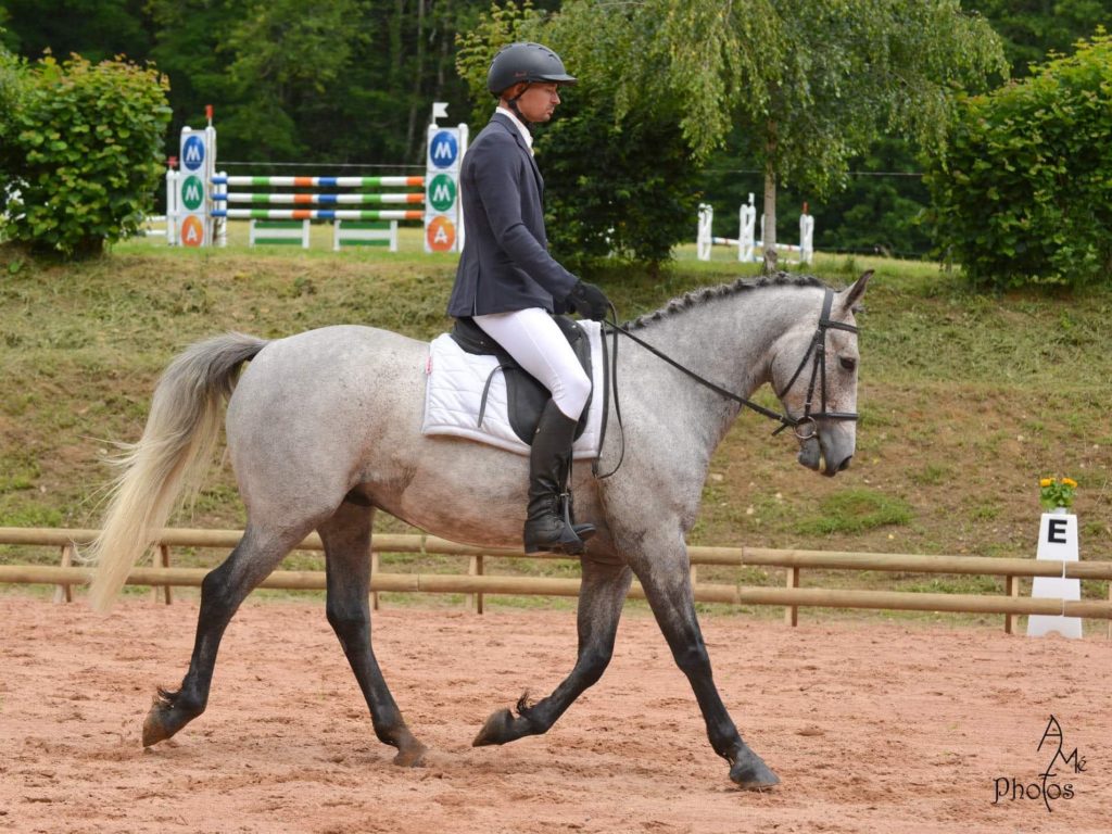 cheval dp bergerac