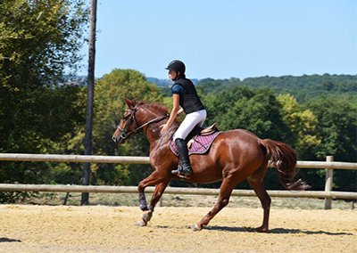 competition equitation dordogne