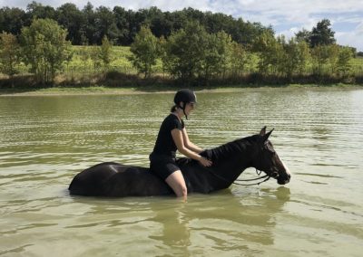 lac cheval bergerac