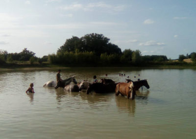 stage equitation dordogne