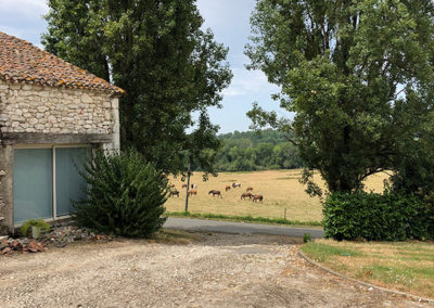 pension cheval pres bergerac