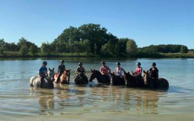 Balade à cheval près de Bergerac