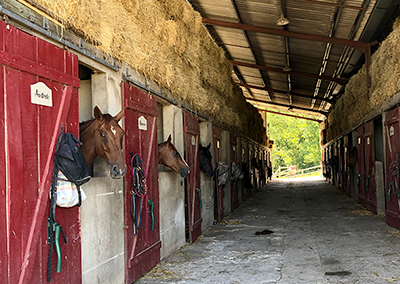 ecurie jumenterie bergerac