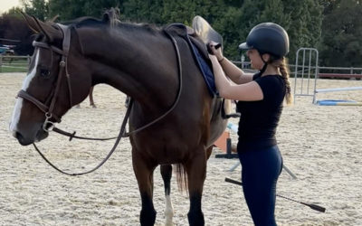 Stage équitation de la Toussaint 2022