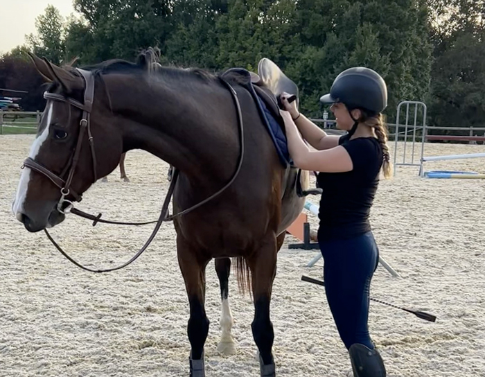 Stage équitation de la Toussaint 2022