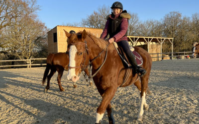 Cours d’équitation à côté de Bergerac